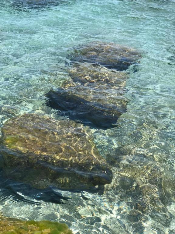 Gigaro View Sylvabelle Lägenhet La Croix-Valmer Exteriör bild